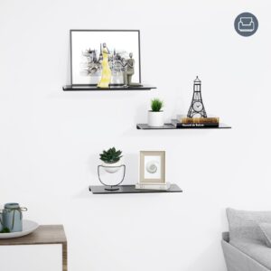 songsoso Floating Shelf Metal Wall Shelf: No Rust - 1 Pack Wall Mounted Shelf - 11.8" Display Shelf for Living Room Bedroom and Bathroom.