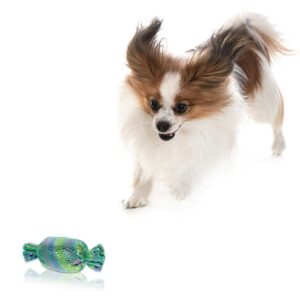 VANZACK Dog Toy Puppy Toy Candy Shape Flash Green Squeaky Toy for Dog