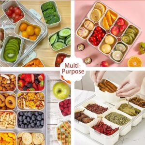 KocelFir Snack Box Container, Divided Serving Tray with Lid and Handle Snackle Box Container, Snack Organizer for Adults Fruit Tray, Veggie Tray, Perfect for Party, Entertaining