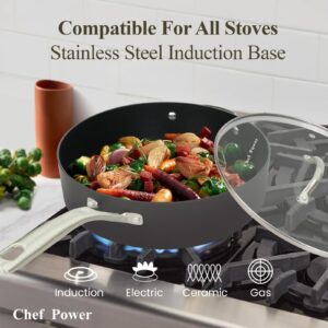 Chef Power Hard Anodized Nonstick Cookware Sets 10 Piece with Stainless Steel Handle, Pots and Pans Set Non Stick, Kitchen Induction Cooking Sets, Dishwasher Safe, Oven Safe, Essential