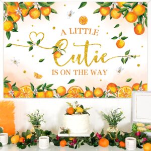 154PCS Little Cutie Baby Shower Balloon Boxes Decorations,Orange Balloon Garland Arch Kit with A Little Cutie is on the Way Backdrop, Baby Boxes with Letters for Orange Baby Shower Decorations