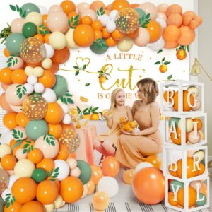 154PCS Little Cutie Baby Shower Balloon Boxes Decorations,Orange Balloon Garland Arch Kit with A Little Cutie is on the Way Backdrop, Baby Boxes with Letters for Orange Baby Shower Decorations