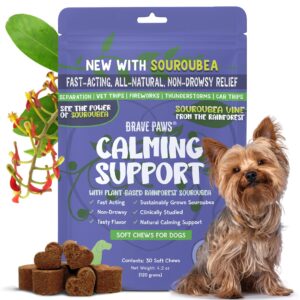 calming chews for dogs anxiety | puppy & dog anxiety relief treats with natural souroubea | calm aid during stress, thunder, storm, separation, car travel, motion, and fireworks | beef flavor