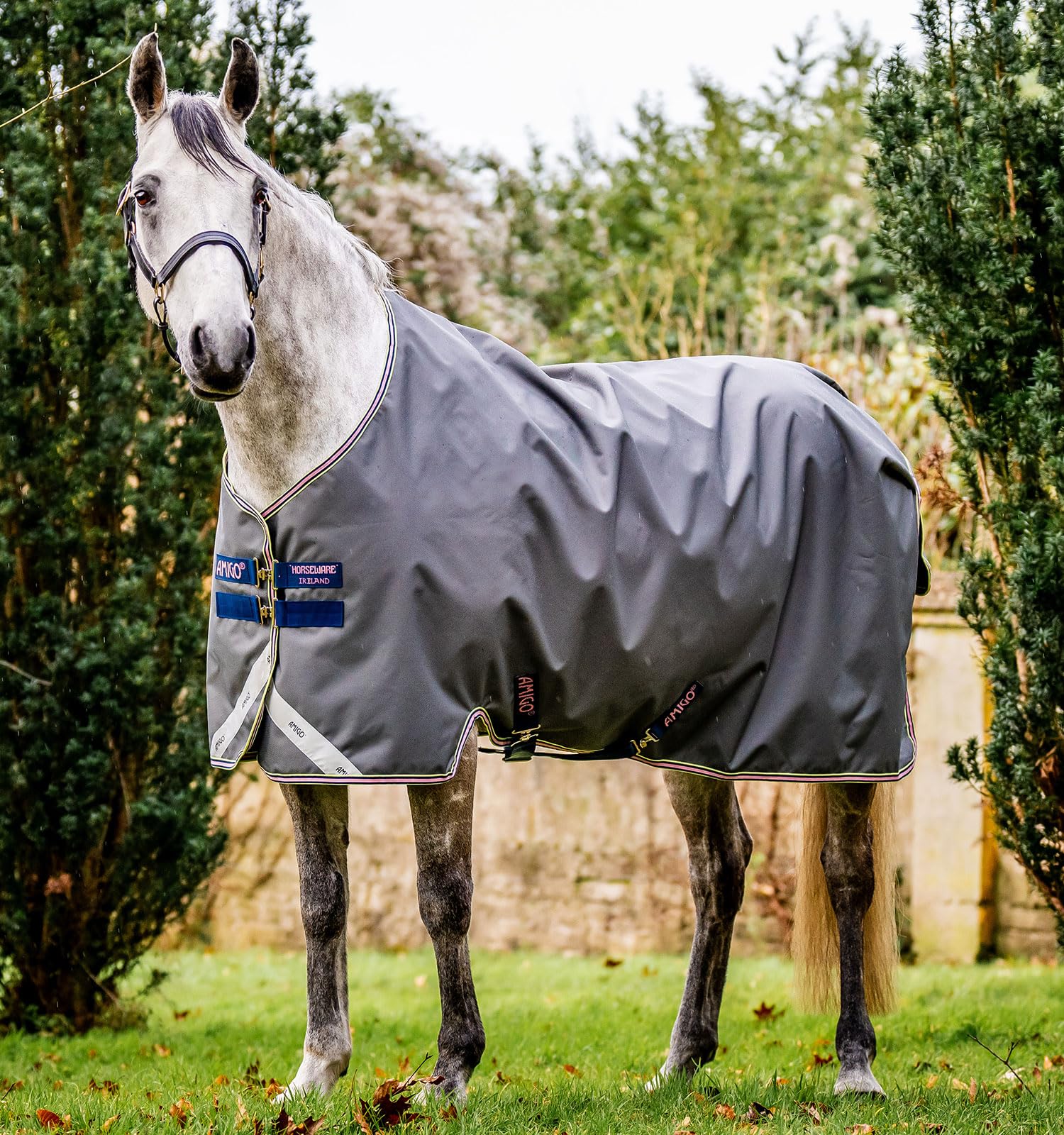 Horseware® Amigo® Bravo 12 Original Turnout Horse Blanket (0g Light)