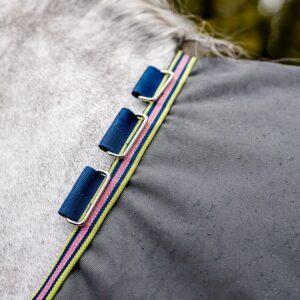 Horseware® Amigo® Bravo 12 Original Turnout Horse Blanket (0g Light)