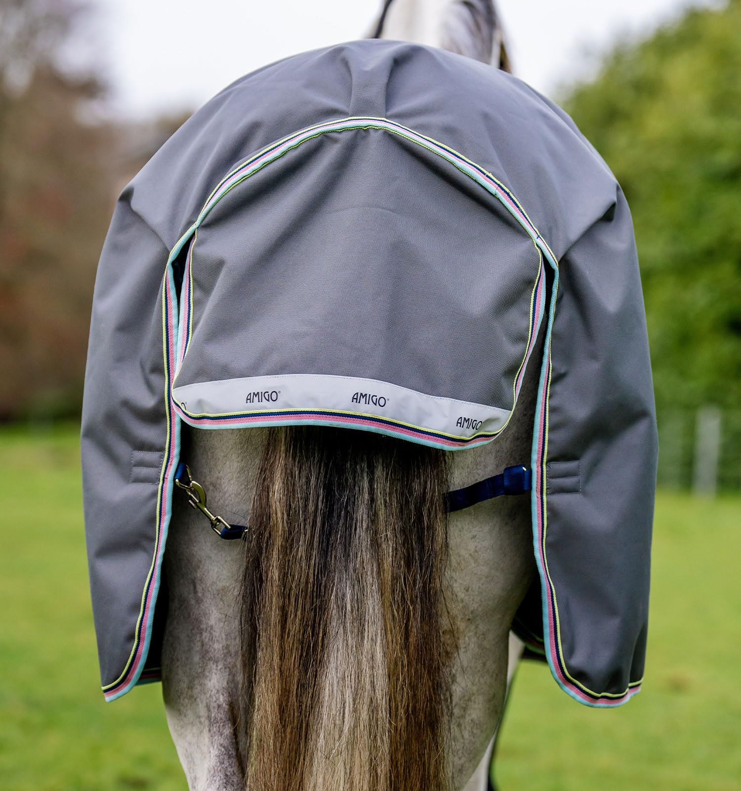 Horseware® Amigo® Bravo 12 Original Turnout Horse Blanket (100g Light)