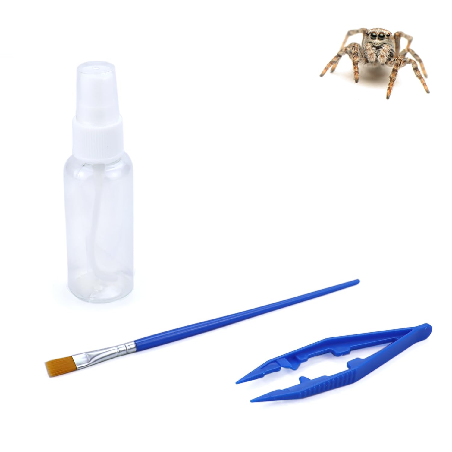 Jumping Spider Starter Kit Including Spray Bottle Tweezers Soft Paint Brush for Spoods Jumping Spider Enclosure Accessories Jumping Spider Care Kit