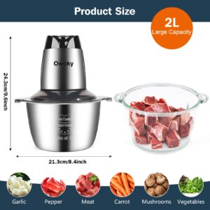 Meat Food Processors Electric, Meat Grinder 2L Stainless Steel Meat Blender Food Chopper for Meat, Onion, Vegetables with Bi-Level Blades, 2 Speed, 500W, 2 Bowls (8 Cup+8 Cup)