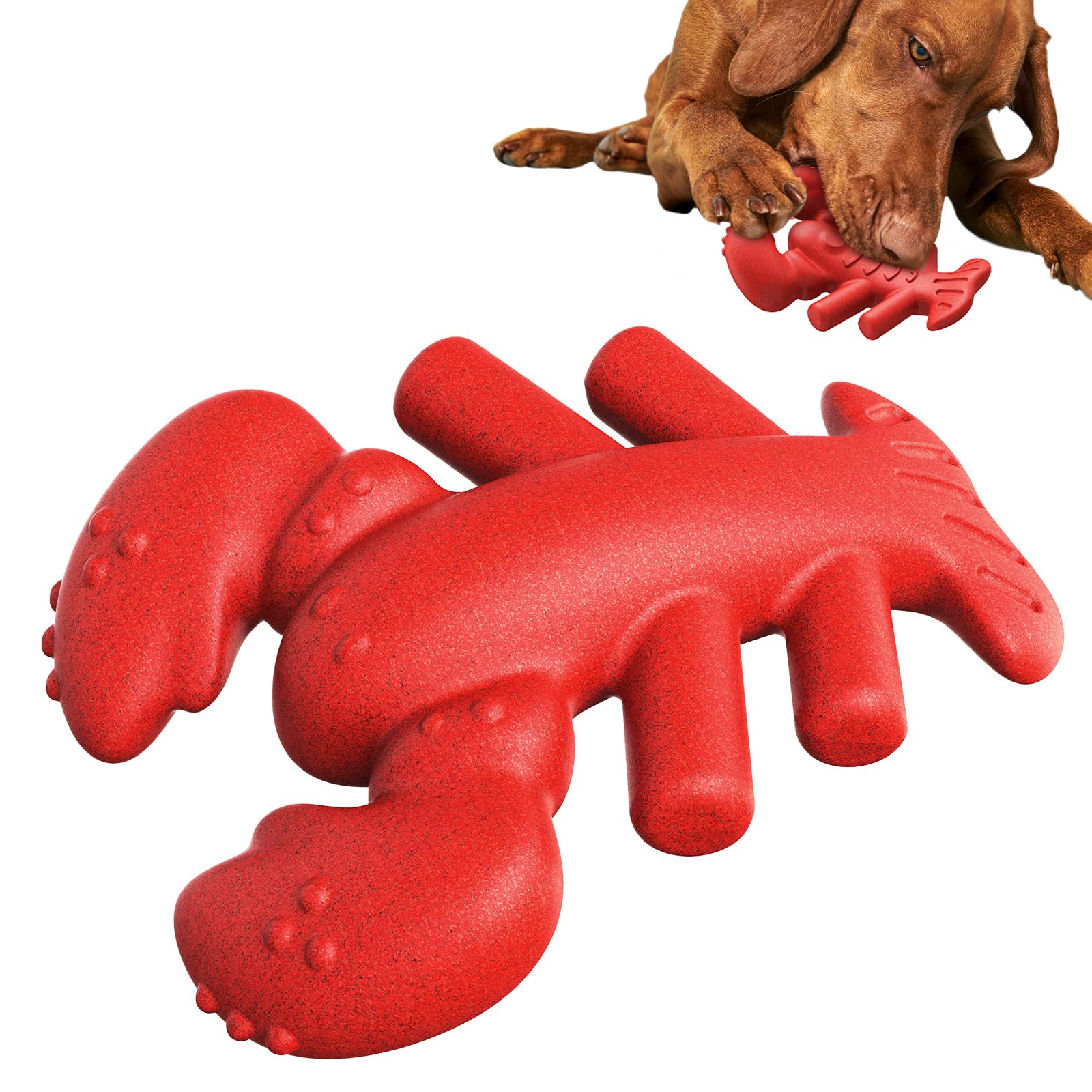 FOXLVDA Lobster Dog Toy Power Chew – Dog Toys for Aggressive Chewers, Cute Dog Toys Made from Food-Grade Nylon and Coffee Wood, Safe, Non-Toxic and Sturdy for Small, Medium & Large Dogs- Red