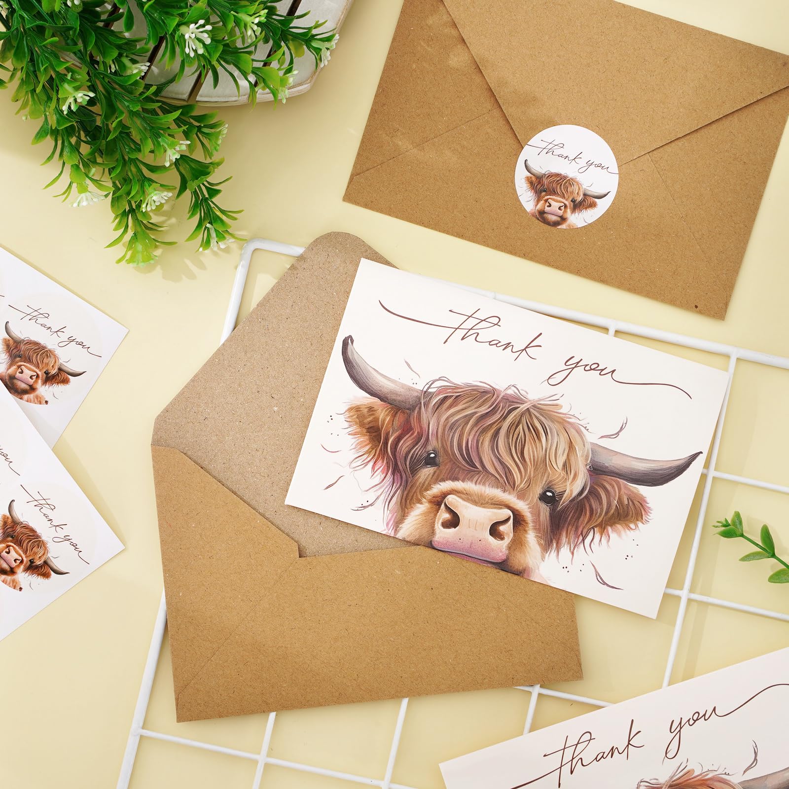 Whaline 36Pcs Highland Cow Thank You Cards with Envelopes and Stickers Barnyard Greeting Cards Blank Note Cards for Weddings Bridal Shower Baby Shower