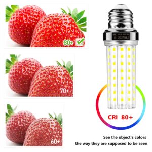 LED Light Bulb 150W Equivalent 2000Lumen 6500K Cool Daylight White 20W LED Corn Light Bulb E26/E27 Base Non-Dimmable Ceiling Fan Light Bulbs for Home Garage Kitchen Indoor Pack of 6