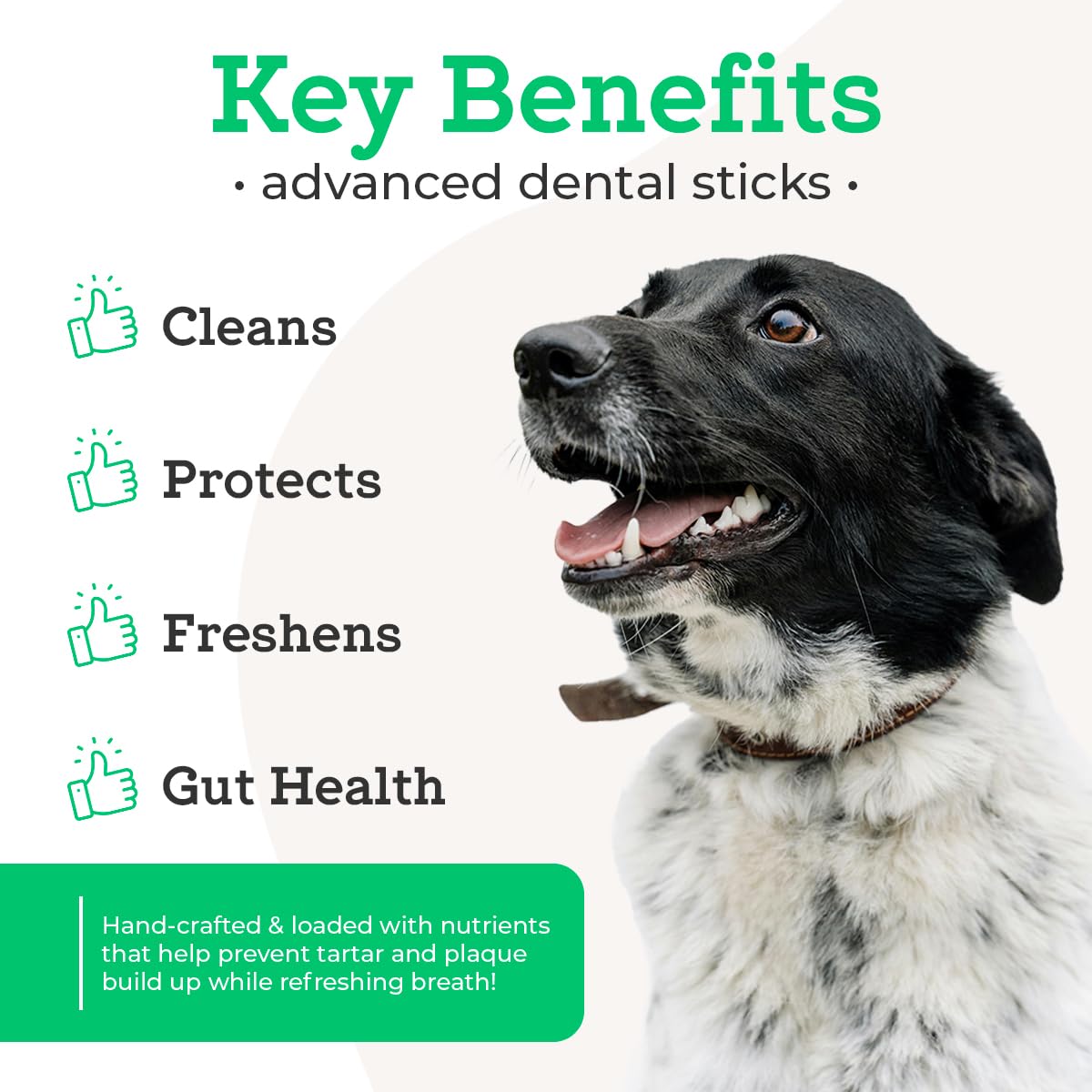 Vetpro Complete Advanced Dental Sticks with Prebiotics, 15 Sticks, Cleans Teeth, Freshens Bad Breath, and Supports Gut Health, Target Tartar and Plaque Build Up, Veterinarian Formulated