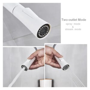 1PCS White Kitchen Sink Faucet Surface Polished Pull Out Spout Dual Mode Spout Hot and Cold Mixing Faucet Deck Mount (Color : Matte Black B)