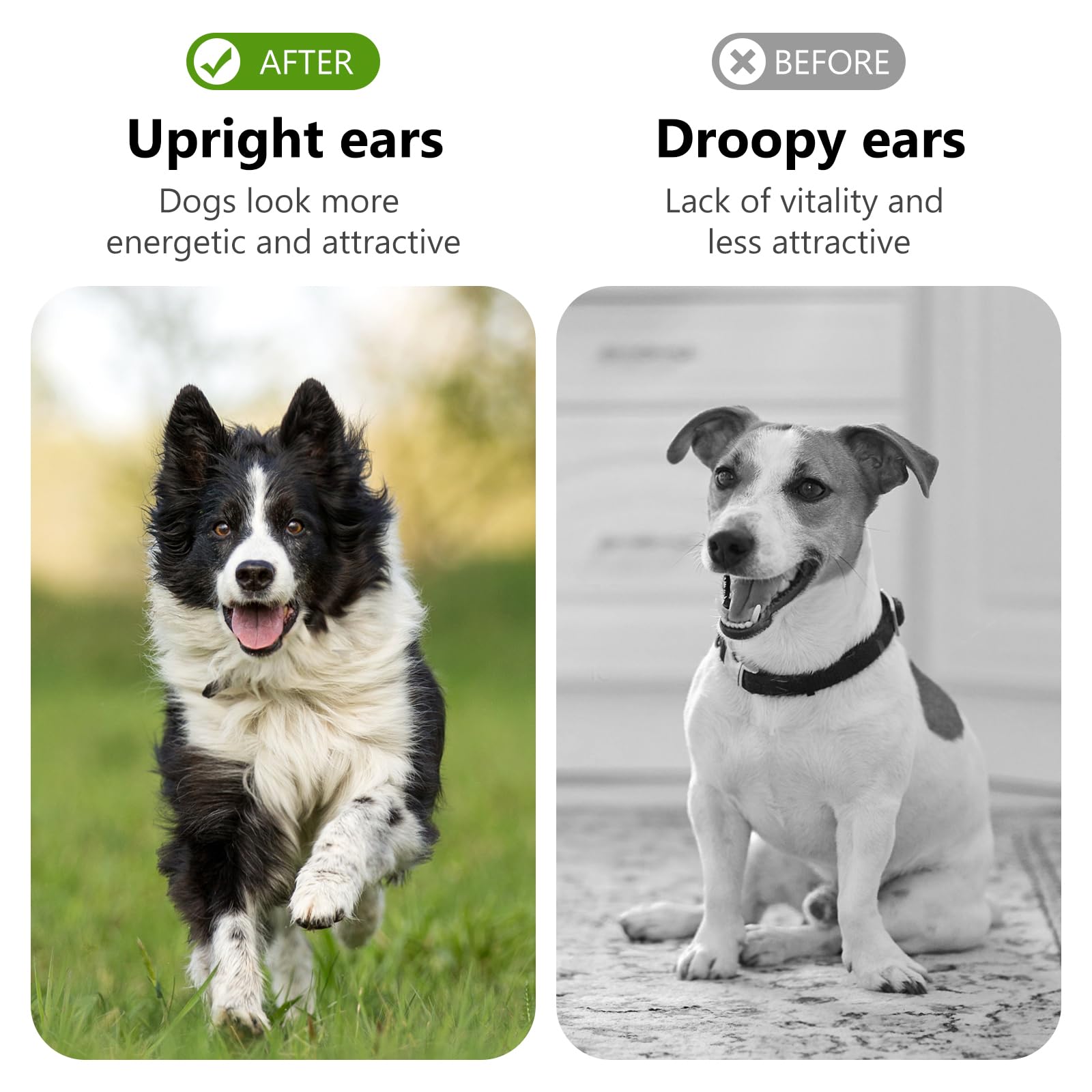 SUPVOX 1 Pair Pet Ear Erector Pet Dog Ear Support Puppy Ear Support Tool Dog Supply Dog Accessory Ear Support Aid Dog Ear Stretch Tool Pet Ear Stand Dog Ear Stand Pet Puppy Accessory