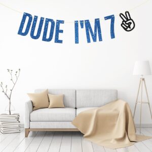 Dill-Dall Dude I'm 7 Birthday Banner, Level 7 Unlocked, 7 Year Old Hanging Sign, Boys Happy 7th Birthday Party Decorations Supplies