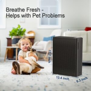 TPLMB P400 Air Purifier Replacement Filters,Three-in-One Nylon Pre-Filter,True HEPA Filter,High-Efficiency Carbon Filter,P400-RF,White.