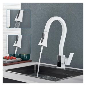 1PCS Pull-Out Kitchen Faucet Digital Temperature Display Sink Faucet Kitchen Mixer Faucet Brass Mixer Faucet Crane 360 ​​Degree Rotation (Color : Chrome)