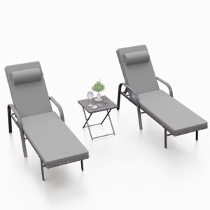 Knnbxa 3 Pieces Outdoor Chaise Lounge Set Rattan Wicker Pool Lounge Chair w/Adjustable Backrest,Patio Armrest Chairs Recliner for Porch Beach,Grey