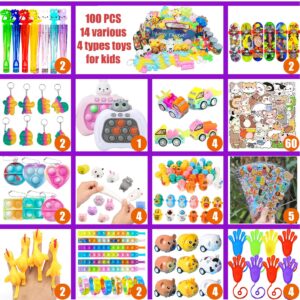 100 PCS Premium Party Favors for Kids 5-12,Assortment Party Toys,Goody Bag Fillers,Classroom Prizes,Treasure Box Stuffers,Birthday Gift Toy,Pinata Stuffers,Carnival Prizes for Boys and Girls