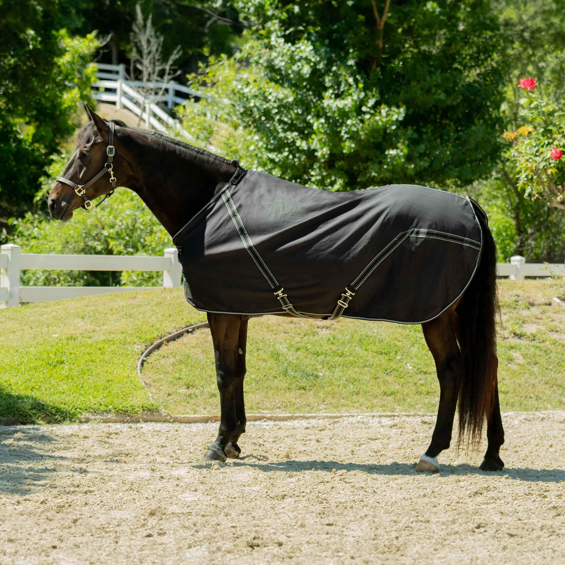 Equinavia Fryd Cotton Stable Blanket for Horses | No Fill Cotton Sheet with Wither Relief - Black - 78 in