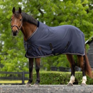 Equinavia Vind Lightweight Stable Blanket for Horses | No Fill Sheet with Wither Relief - Navy - 74 in