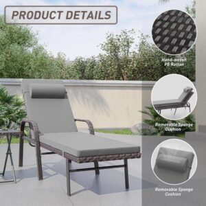 Knnbxa 3 Pieces Outdoor Chaise Lounge Set Rattan Wicker Pool Lounge Chair w/Adjustable Backrest,Patio Armrest Chairs Recliner for Porch Beach,Grey