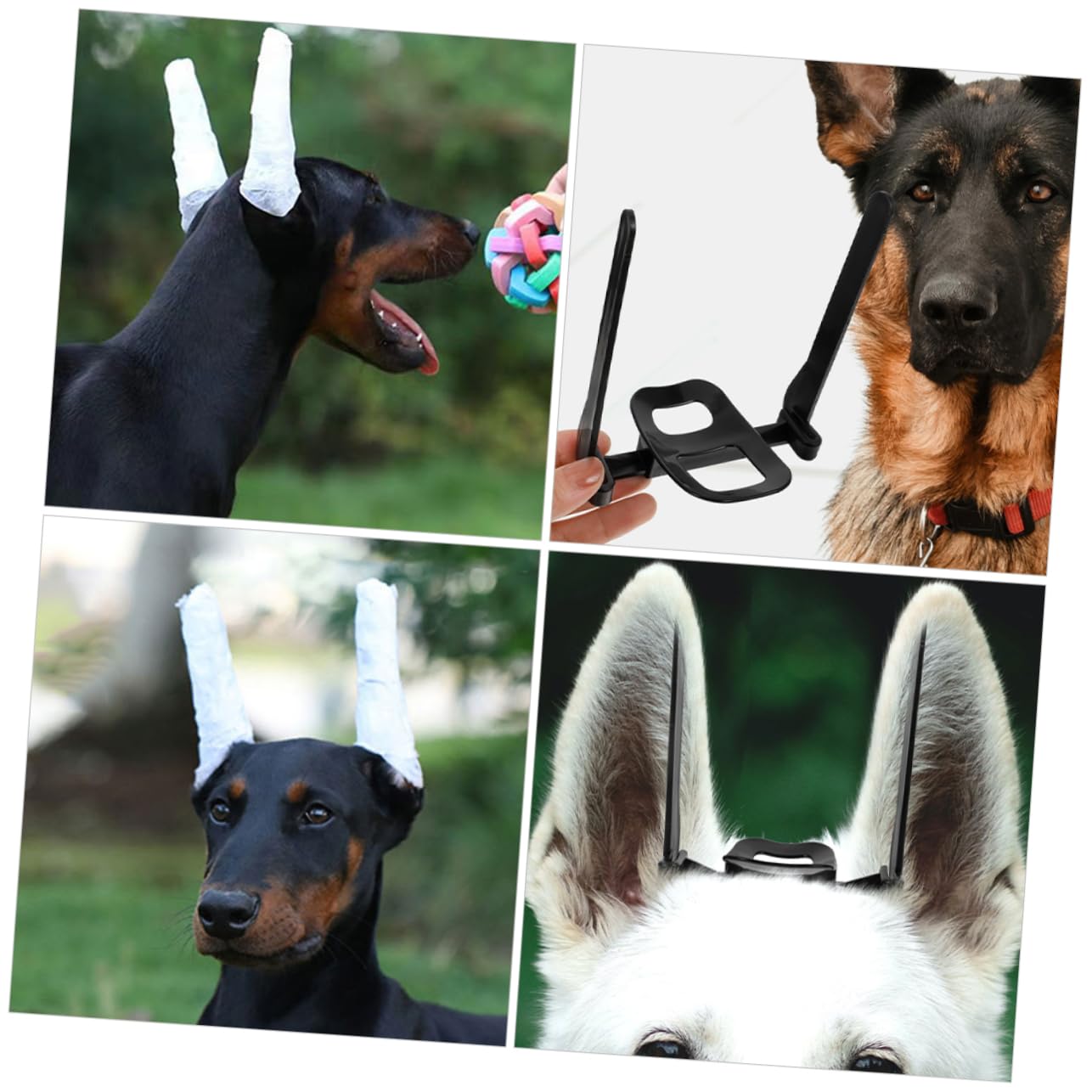 FONDOTIN 1 Set Dog Ear Stand Up Support Tool Tape Puppy Ear Erector Standing Ears Ear Posting Kit Doberman Other Dogs