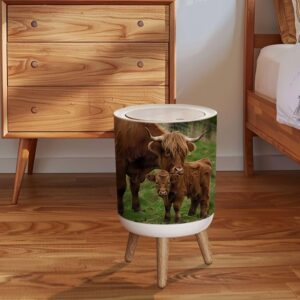 LGCZNWDFHTZ Small Trash Can with Lid for Bathroom Kitchen Office Baby Highland Cattle her mom Garbage Bin Waste Basket Decorative 1.8 gallons, 14x9inch