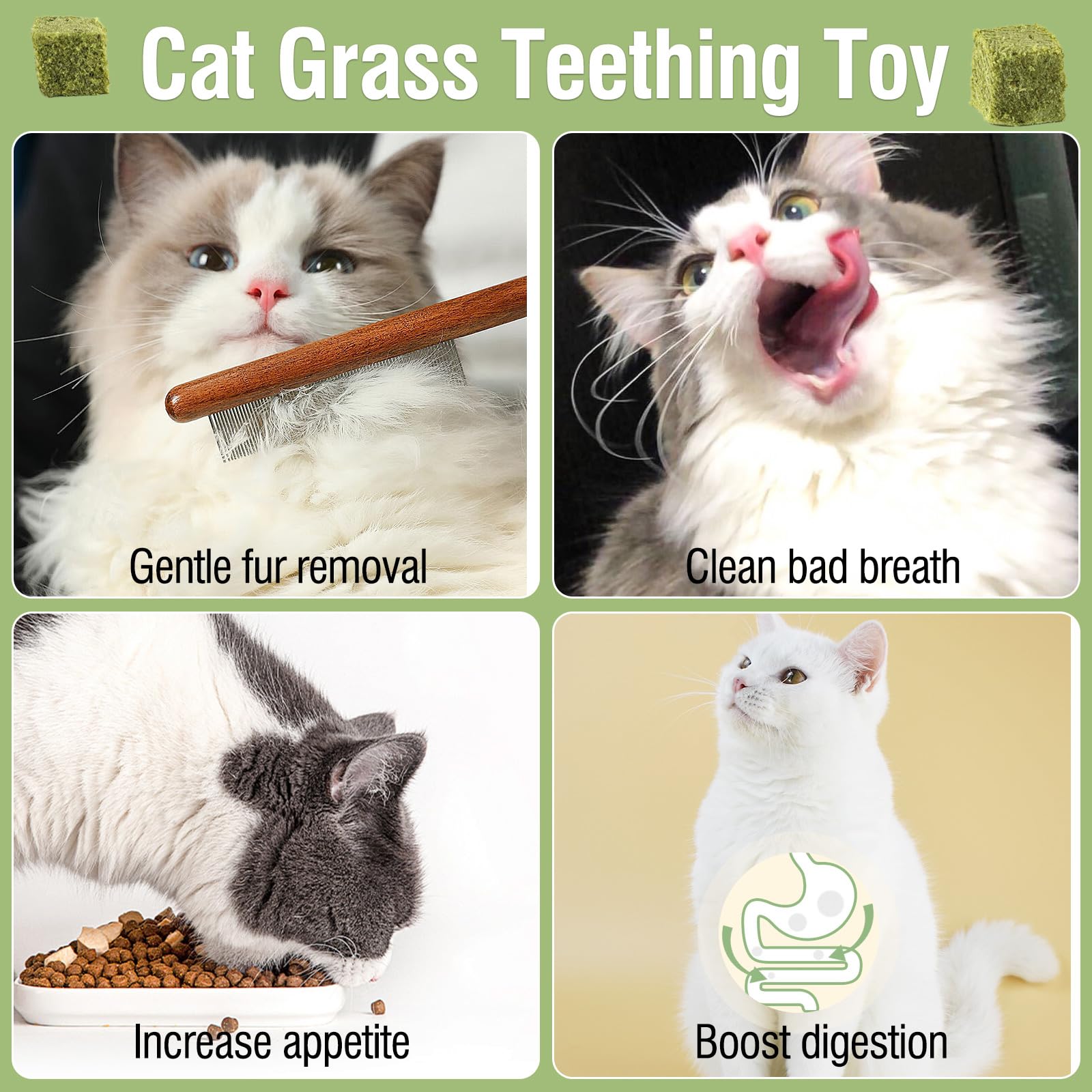 60g/2.12oz Cat Grass Teething Toy Hairballs,Chew Treats for Cats,Edible Cat Chew Toys,Natural for Cats,Teeth Cleaning and Hairball Removal