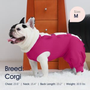 IECOii Pet Surgery Recovery Suit,Breathable Dog Bodysuit E-Collar & Cone Alternative Surgical Suit After Spayed/Neutered Wear,Recovery Suit for Dogs Male Female Sleeve to Prevent Licking,XL-Rosered