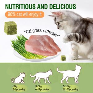 60g/2.12oz Cat Grass Teething Toy Hairballs,Chew Treats for Cats,Edible Cat Chew Toys,Natural for Cats,Teeth Cleaning and Hairball Removal