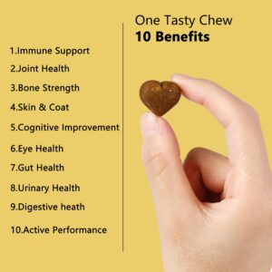 Dog Multivitamin, Chewable Multivitamin, Dog Food, Dog Multivitamin for Support Digestion, Joint, Liver, Heart, with Glucosamine & Probiotics, Vitamin B, C and E, Omega-3 Fatty Acids (150 Chews)