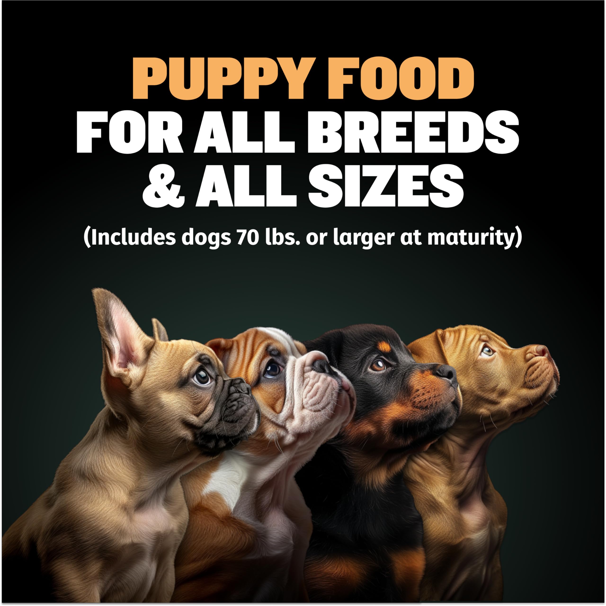 Bully Max Wet Puppy Food - Instant Fresh Dehydrated High Protein Soft Dog Food with Chicken - Healthy Growth for Small & Large Breed Puppies - 6 Dry Dog Food Pounds (Makes 16.5 lbs. of Wet Dog Food)