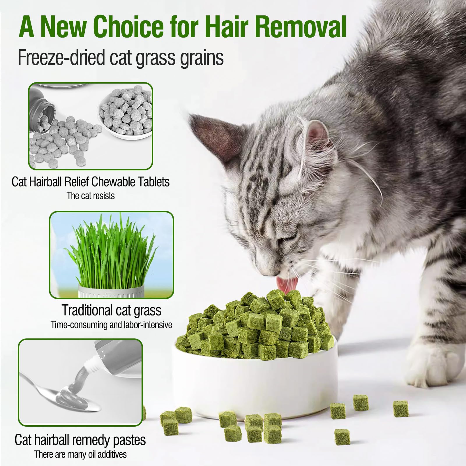 60g/2.12oz Cat Grass Teething Toy Hairballs,Chew Treats for Cats,Edible Cat Chew Toys,Natural for Cats,Teeth Cleaning and Hairball Removal