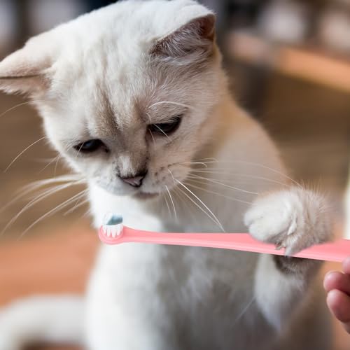 KALIONE 5pcs Dog Cat Toothbrush for Pet Dental Care, Micro Head Pets Toothbrush with Soft Bristles for Dog Oral Hygiene Deep Clean, Multi-Angle Round Pointed Cat Toothbrush