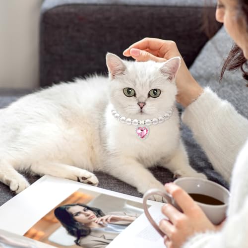 Pearl Cat Collar, Cute Rhinestone Puppy Collar Shine Small Cat Necklaces Pet Collar with Bling Accessories for Kitten Small Dogs Wedding Birthday Party(S,Pink)