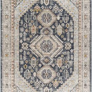 BoutiqueRugs Kouta Traditional Area Rug - Natural Gray - 9' x 12'2"