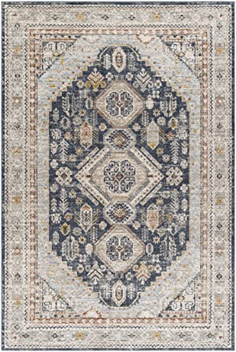 BoutiqueRugs Kouta Traditional Area Rug - Natural Gray - 9' x 12'2"