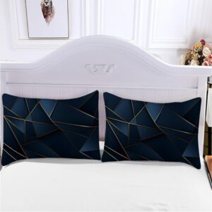 TBAUYI Navy Blue Duvet Cover King Size 3 Pieces，Geometric Gold Line 3D Printed Bedding Set with 2 Pillow Shams Luxury Soft Microfiber Bed Cover, Type13