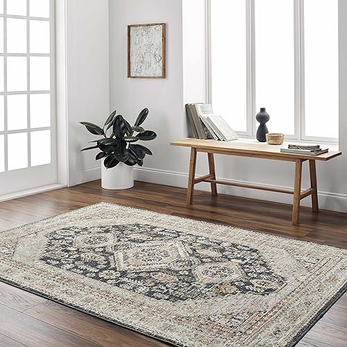 BoutiqueRugs Kouta Traditional Area Rug - Natural Gray - 9' x 12'2"