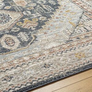 BoutiqueRugs Kouta Traditional Area Rug - Natural Gray - 9' x 12'2"