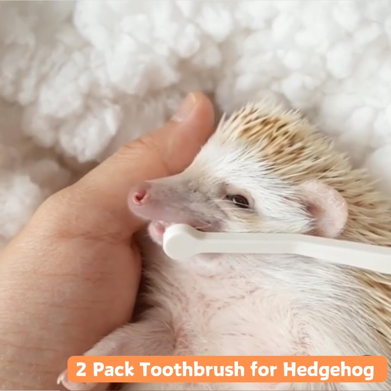 SEZDEKI 2 Pcs Pet Toothbrush for Hedgehog Small Animal Toothbrush Mini Head Soft Bristles Gentle Pet Toothbrush for Small Pets Dental Care Hedgehog Supplies Hedgehog Grooming Accessories (2 Pack)