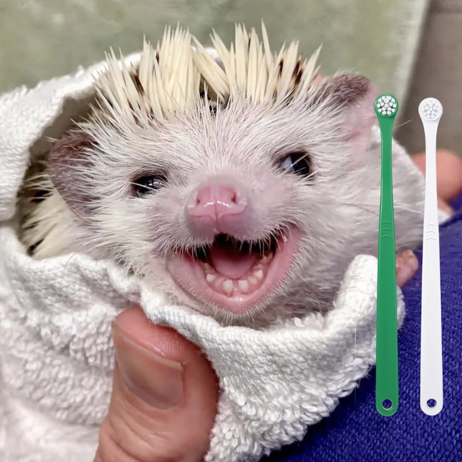 SEZDEKI 2 Pcs Pet Toothbrush for Hedgehog Small Animal Toothbrush Mini Head Soft Bristles Gentle Pet Toothbrush for Small Pets Dental Care Hedgehog Supplies Hedgehog Grooming Accessories (2 Pack)