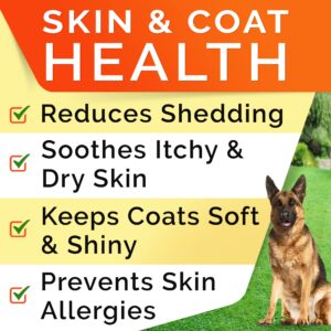 Allergy Relief + Omega 3 Dogs Bundle - Itchy Skin Treatment + Allergy & Itch Relief Skin&Coat Supplement - Omega3 & Pumpkin - Dog Itch Relief - 300 Chews - Peanut Butter + Chicken Flavor - Made in USA