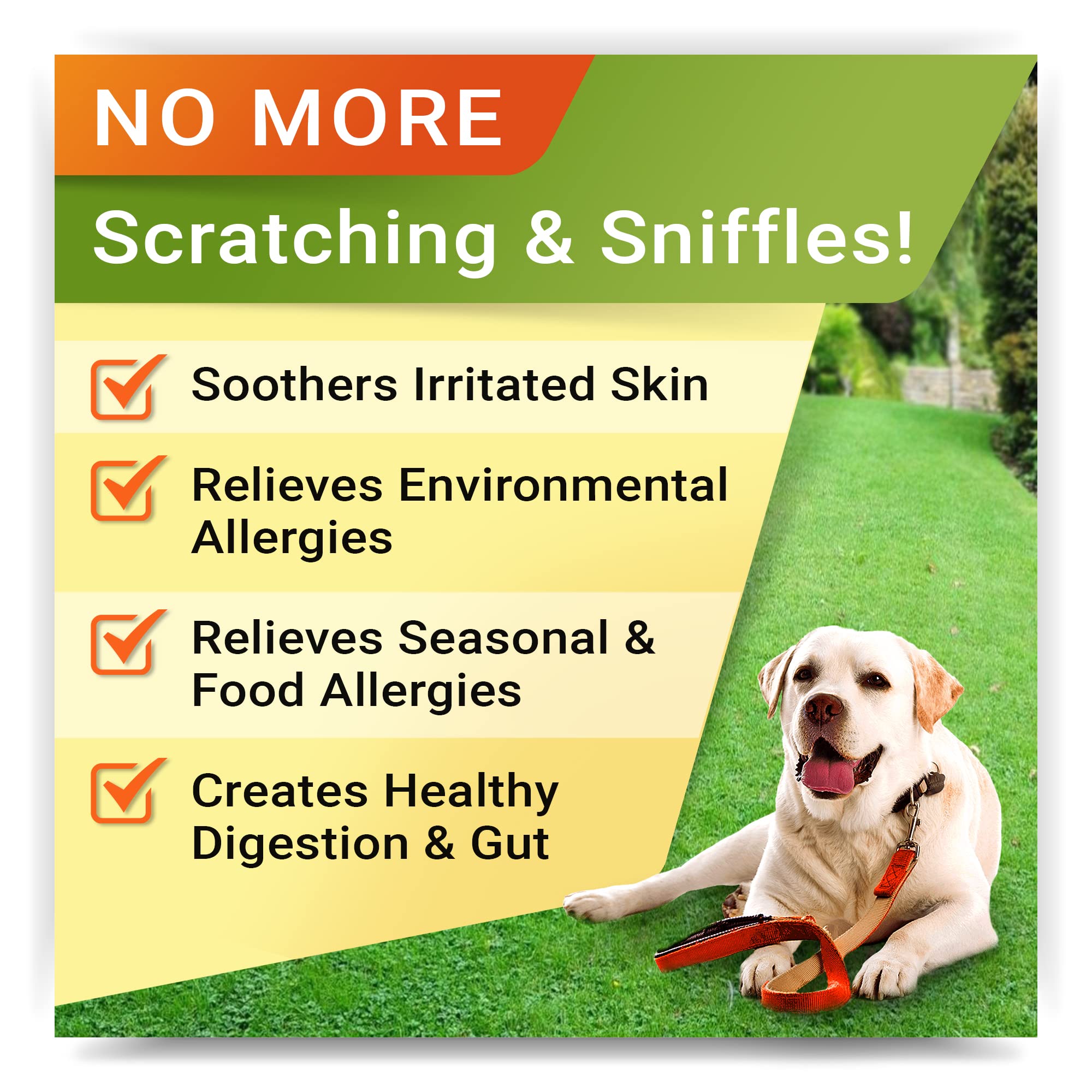 Allergy Relief + Omega 3 Dogs Bundle - Itchy Skin Treatment + Allergy & Itch Relief Skin&Coat Supplement - Omega3 & Pumpkin - Dog Itch Relief - 300 Chews - Peanut Butter + Chicken Flavor - Made in USA