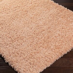 BoutiqueRugs Meru Contemporary Area Rug - Peach - 5'3" x 7'