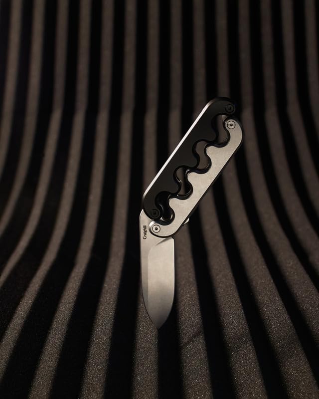 Craighill Sidewinder Knife - Compact Folding Pocket Knife for Everyday Use, 2.5" 12C27 Steel Blade, Sculptural Design, Collector's Knife, 5.6 oz