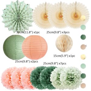 Sage Green and Peach Party Decorations Paper Lanterns Sage Green Peach Tissue Paper Pom Poms for Olive Sage Green and Peach Baby Shower Decorations Bridal Shower Wedding Engagement Birthday Party