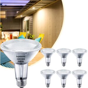 ivyemons par30 long neck halogen 60w 120v - 6 pack par30 flood light bulbs e26 base, 60w par30 dimmable 2800k warm white, long lasting par30 halogen bulb for tracking light, recessed light