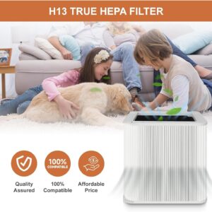 211+ Replacement Filter Compatible with Blueair Blue Pure 211+ Air Cleaner Purifier, H13 Hepa Foldable Filter and Activated Carbon Replacement Filter 2 Pack